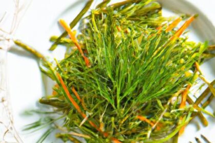 Dill Overload? Creative Ways to Use Your Herb Harvest